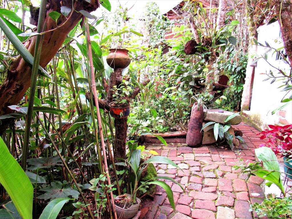 Hotel Casa Tarzan San Agustin Εξωτερικό φωτογραφία